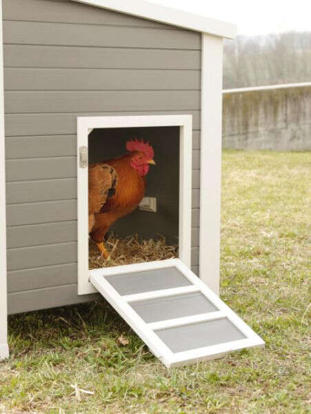 KERBL Hühnerstall Barney aus ECO-Kunststoff